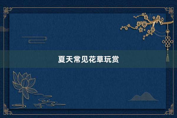 夏天常见花草玩赏