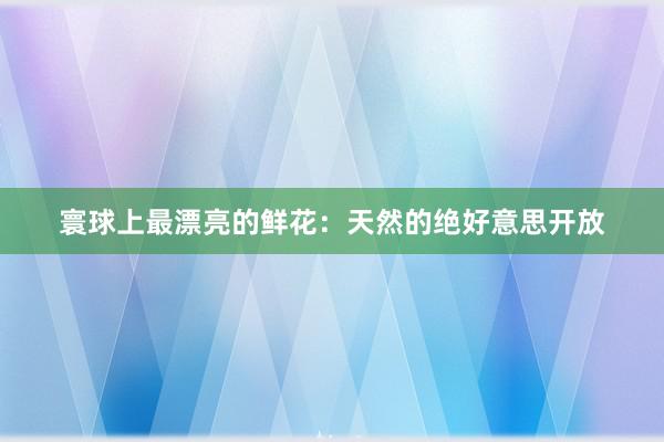 寰球上最漂亮的鲜花：天然的绝好意思开放
