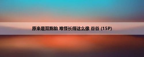 原来是双胞胎 难怪长得这么像 谷谷 (15P)