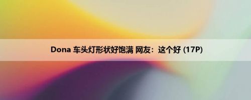 Dona 车头灯形状好饱满 网友：这个好 (17P)